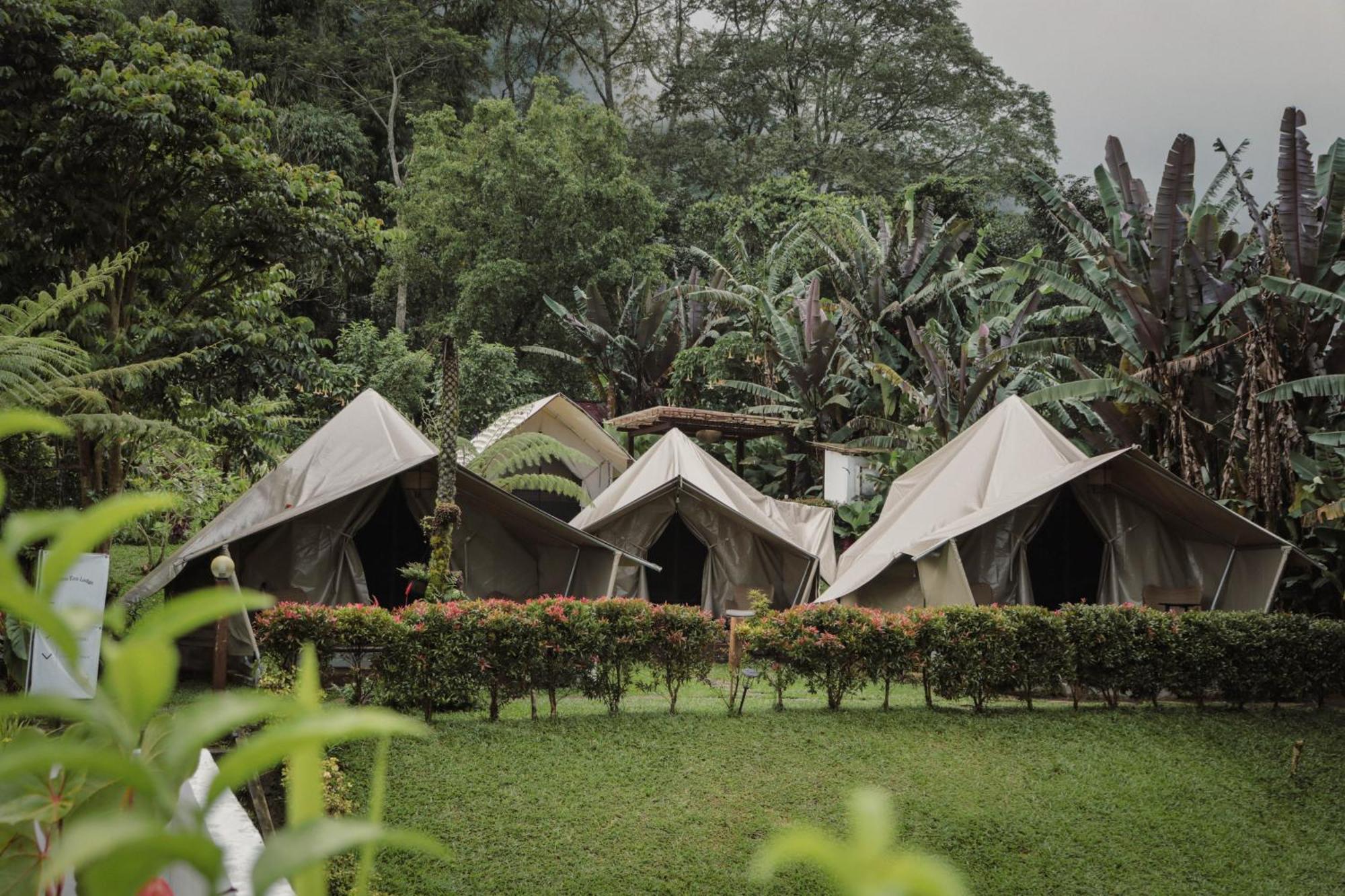 Alamu Eco Lodge Bedugul (Bali) Exterior foto