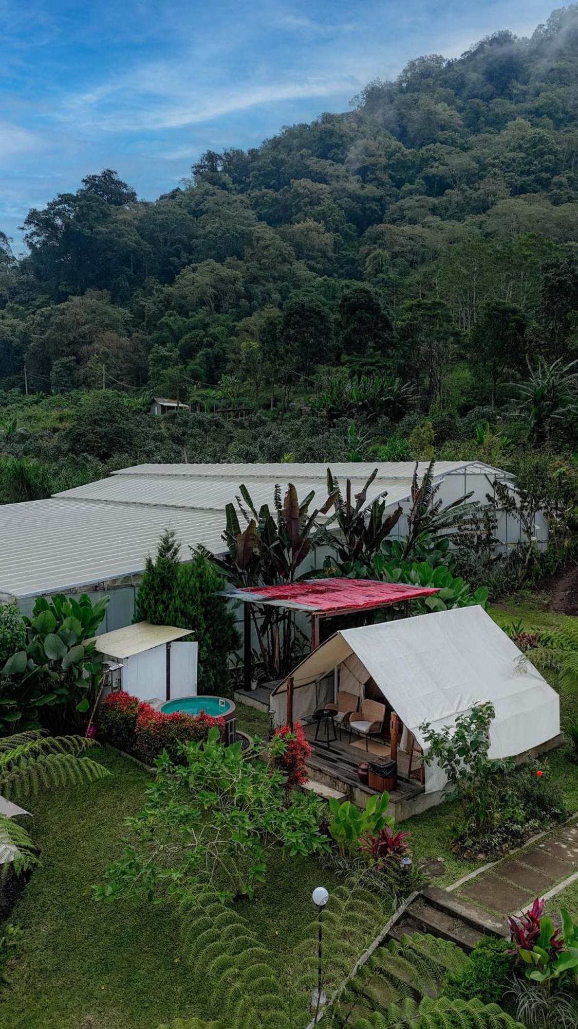 Alamu Eco Lodge Bedugul (Bali) Exterior foto