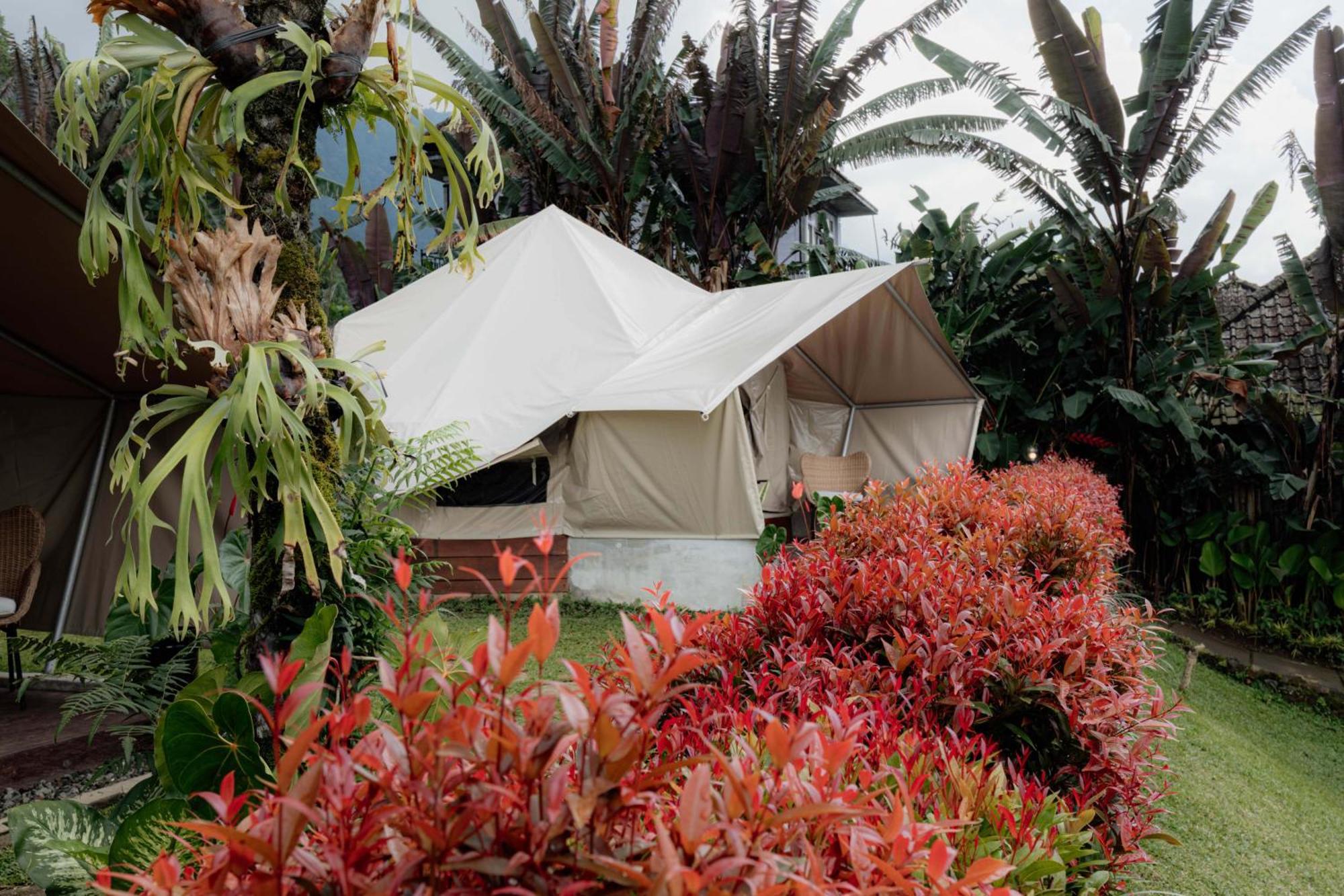 Alamu Eco Lodge Bedugul (Bali) Exterior foto