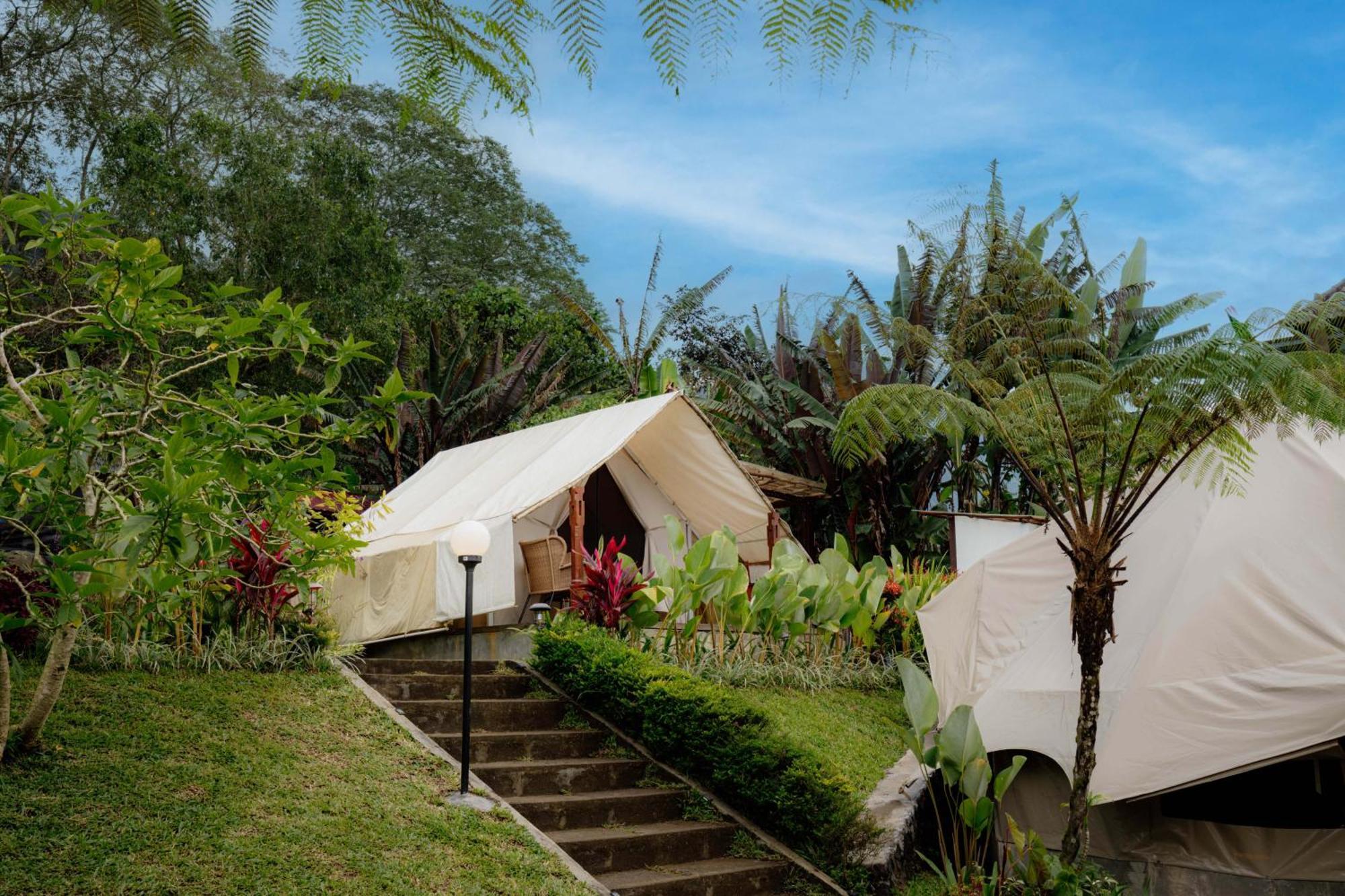 Alamu Eco Lodge Bedugul (Bali) Exterior foto